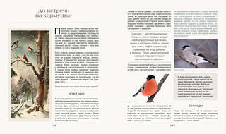 Тайная жизнь леса: Русская природа в фактах и зарисовках 15