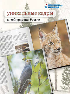 Тайная жизнь леса: Русская природа в фактах и зарисовках 3