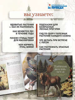 Тайная жизнь леса: Русская природа в фактах и зарисовках 2