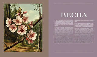 Тайная жизнь леса: Русская природа в фактах и зарисовках 9