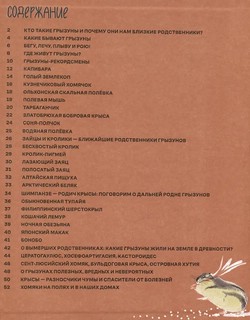 Вот так капибара: необыкновенные грызуны и их родственники 3