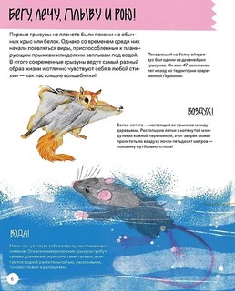 Вот так капибара: необыкновенные грызуны и их родственники 4