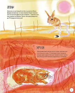 Вот так капибара: необыкновенные грызуны и их родственники 5