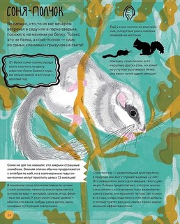 Вот так капибара: необыкновенные грызуны и их родственники 6