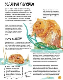 Вот так капибара: необыкновенные грызуны и их родственники 7