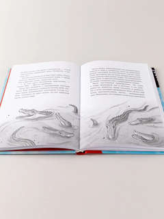 Проклятие крокодила 12