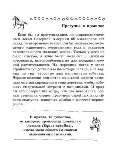 Лошадь: Полное руководство по верховой езде и уходу 8
