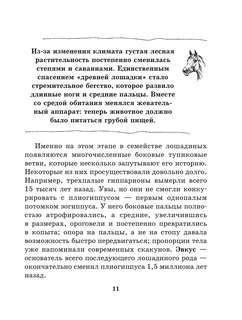 Лошадь: Полное руководство по верховой езде и уходу 10