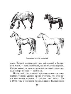 Лошадь: Полное руководство по верховой езде и уходу 13