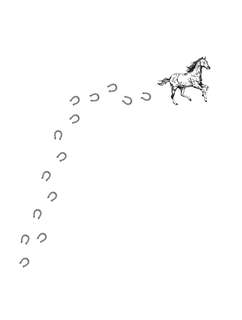 Лошадь: Полное руководство по верховой езде и уходу 5