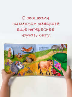 Удивительное путешествие: Виммельбух с окошками 4