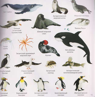 1000 картинок: Животные мира 3