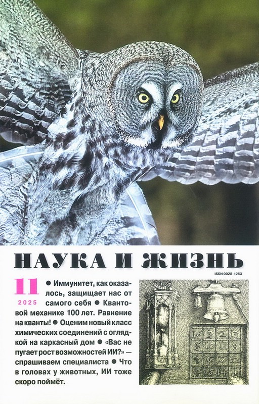 Журнал Наука и жизнь №11 (ноябрь 2025)