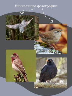 Журнал Наука и жизнь №11 (ноябрь 2025) 5