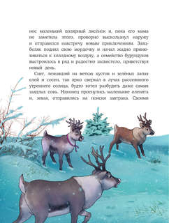 Пони Колокольчик: Чудеса на Северном полюсе 8