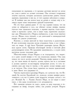 Жизнь и приключения Санта-Клауса 11