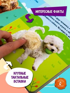 Мои питомцы (тактильная книжка: погладь меня) 3