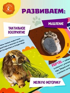 Мои питомцы (тактильная книжка: погладь меня) 4