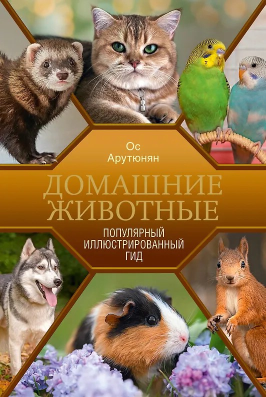 Домашние животные: Популярный иллюстрированный гид