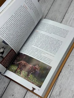 Домашние животные: Популярный иллюстрированный гид 4