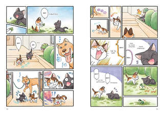 Сью и Тайчик: Книга 4 2