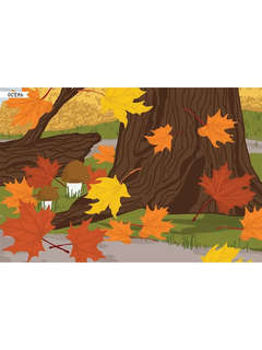 Насекомые, Моя первая книга наклеек 11