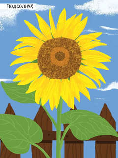 Насекомые, Моя первая книга наклеек 7