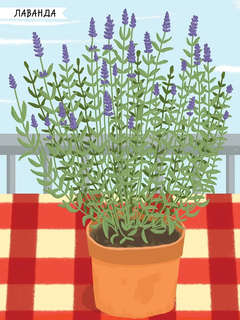 Насекомые, Моя первая книга наклеек 8