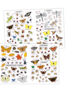 Насекомые, Моя первая книга наклеек 9