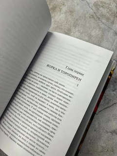 Дизайнер Жорка, Книга вторая: Серебряный рудник 4