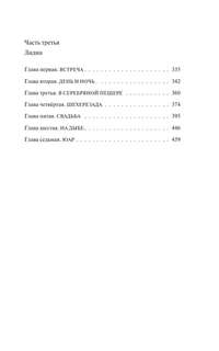 Дизайнер Жорка, Книга вторая: Серебряный рудник 7