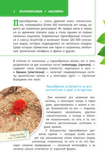 Пауки, скорпионы и многоножки России 4