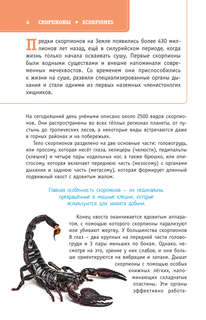 Пауки, скорпионы и многоножки России 6