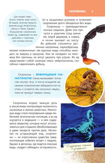 Пауки, скорпионы и многоножки России 7