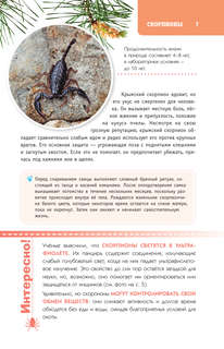 Пауки, скорпионы и многоножки России 9