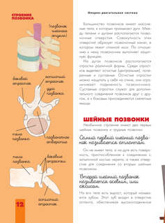 Человек: Исследуем тело и мозг человека 13
