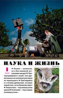 Журнал Наука и жизнь №1 (январь 2026)