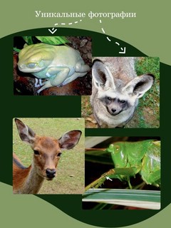 Журнал Наука и жизнь №1 (январь 2026) 5