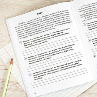 Готовимся к ВПР: Русский язык, 1-4 классы 9