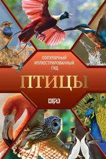 Птицы: Иллюстрированный гид