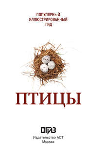 Птицы: Иллюстрированный гид 3