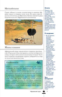 Птицы: Иллюстрированный гид 7