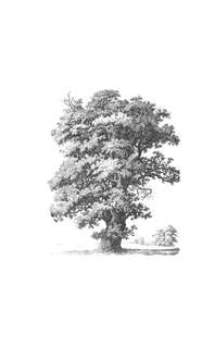 Яблочный пирог с загадкой 4