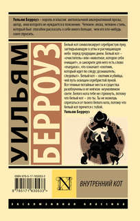 Внутренний кот 2