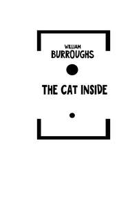 Внутренний кот 4