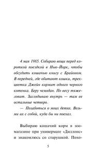 Внутренний кот 6