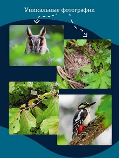 Журнал Наука и жизнь №2 (февраль 2026) 4