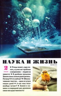 Журнал Наука и жизнь №2 (февраль 2026)