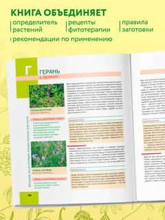 Большая иллюстрированная энциклопедия лекарственных растений 4