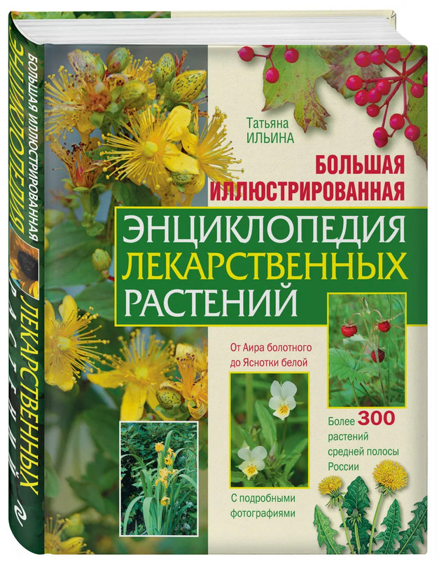 Большая иллюстрированная энциклопедия лекарственных растений